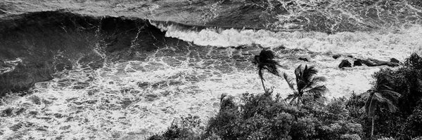 bonritu Profile Banner