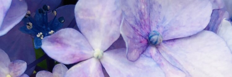 argmym's profile banner image