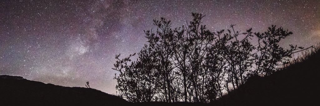 nicolewhiting3's profile banner image