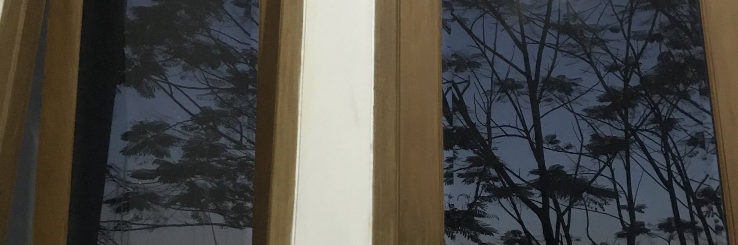 🦩 banner