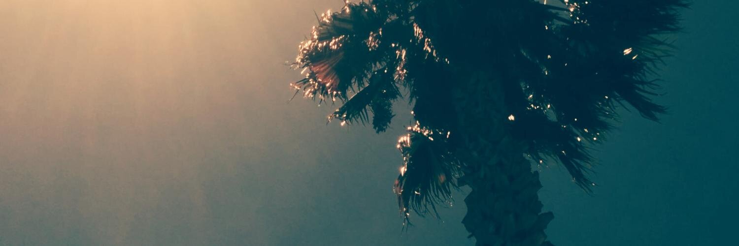 AmyNadeenWilson's profile banner image