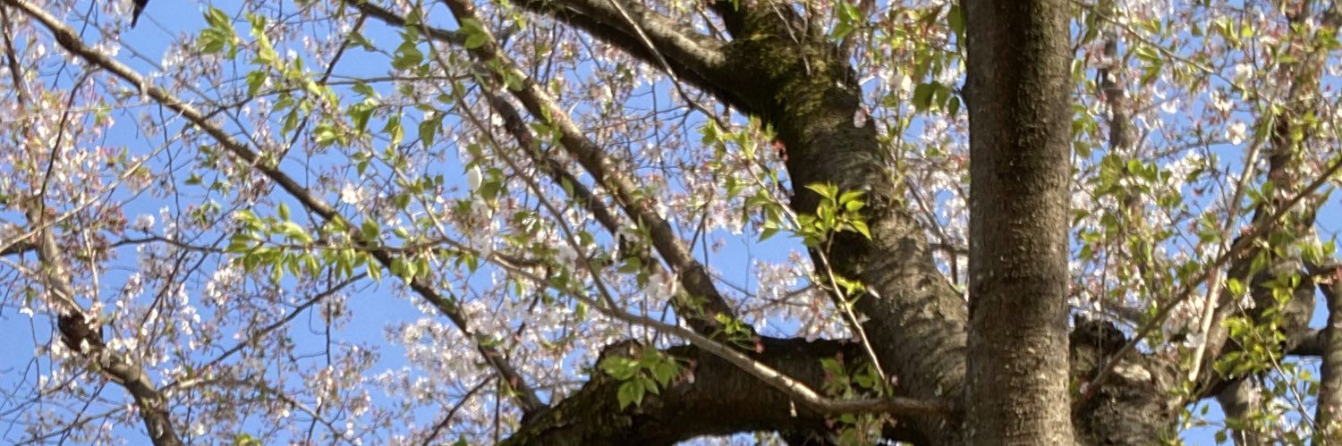 tiikun_'s profile banner image