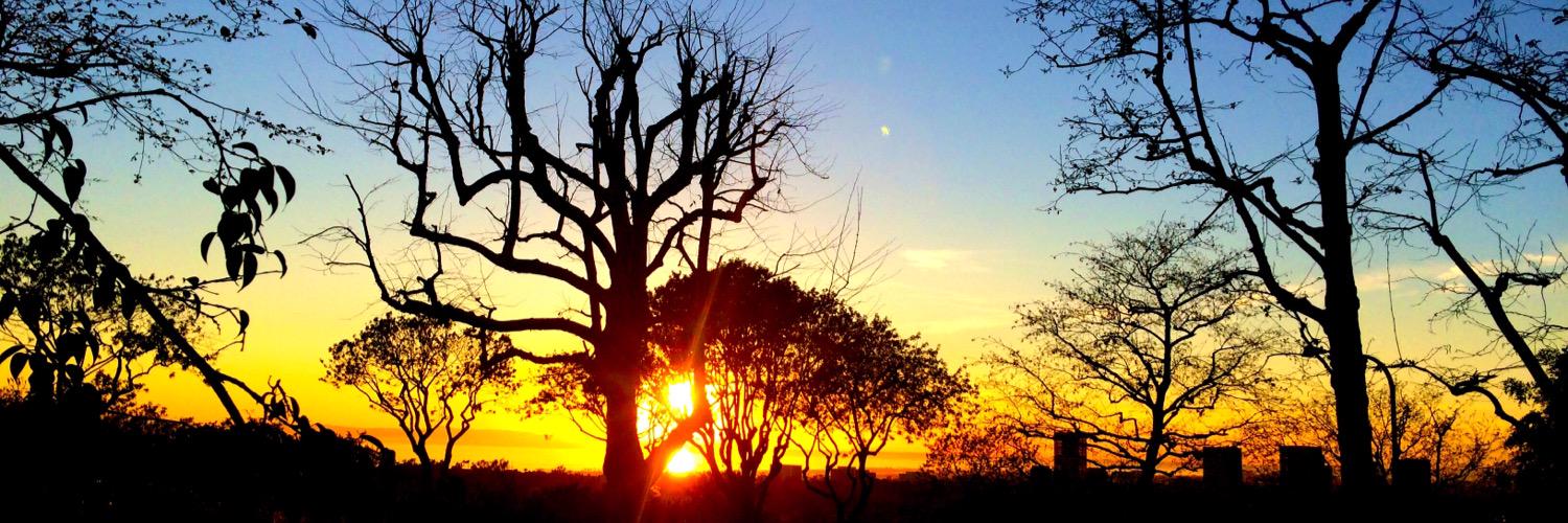 AidanRodriguez's profile banner image