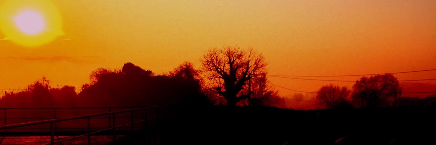DavidePallucci's profile banner image
