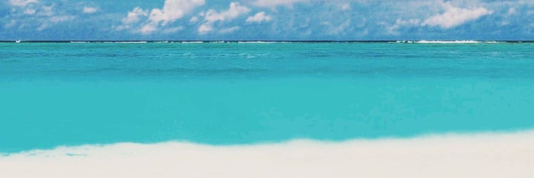 Artcunnilingus's profile banner image