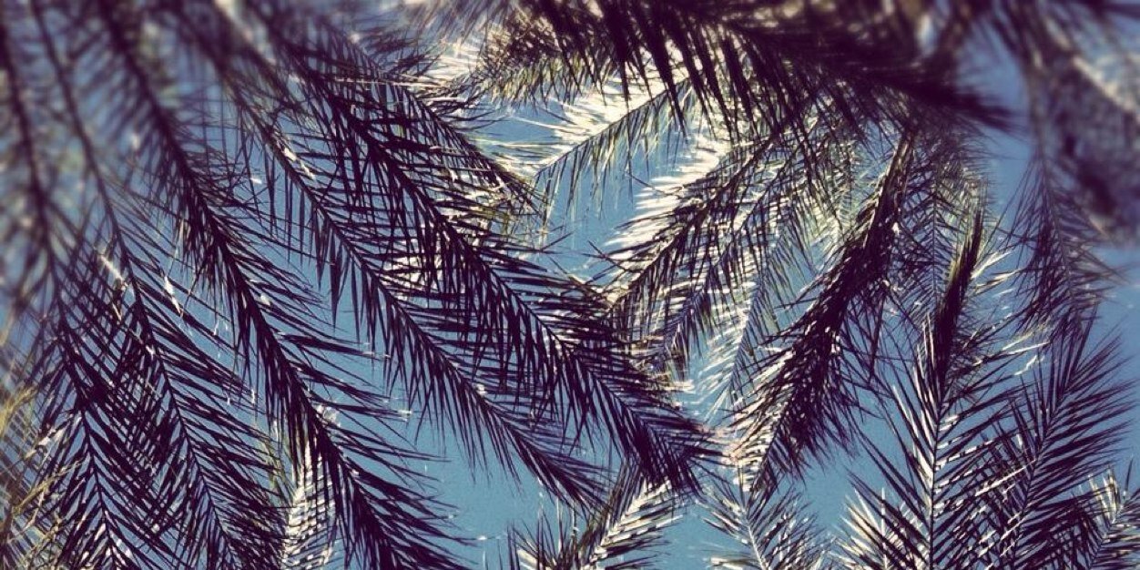 oneandonly303's profile banner image