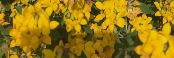 maryssa17_'s profile banner image