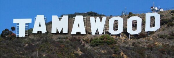 yoco16 Profile Banner