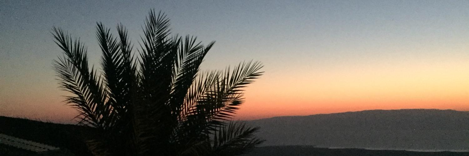 malbodz's profile banner image