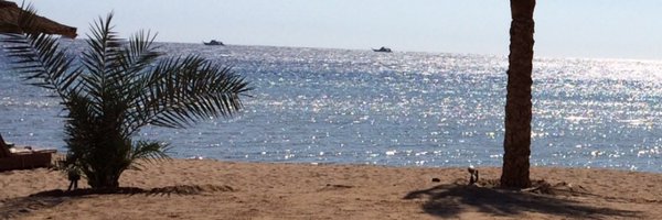 RuthSp8 Profile Banner