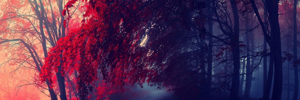 Tangsterrrrr's profile banner image