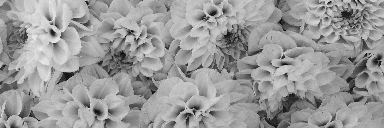 ciarabaylee's profile banner image