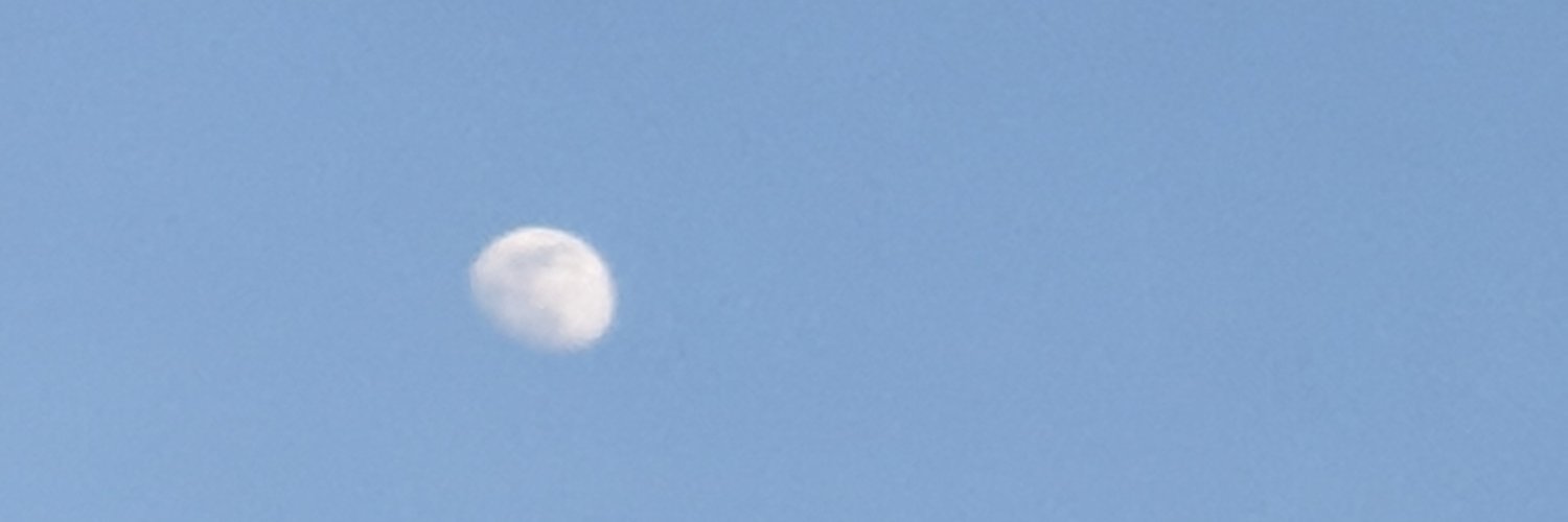 Sabrina Dereclenne banner