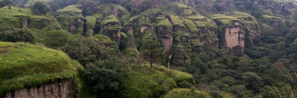 Coyotzin Contreras banner