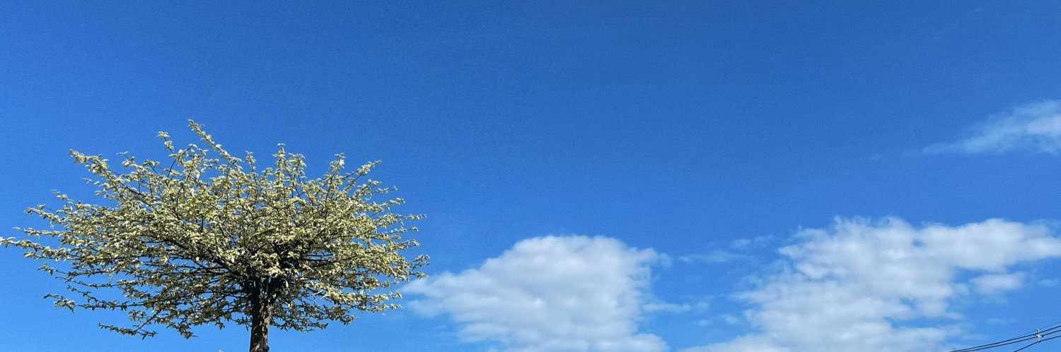 ntppl's profile banner image