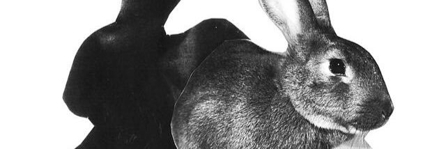 XmNao's profile banner image