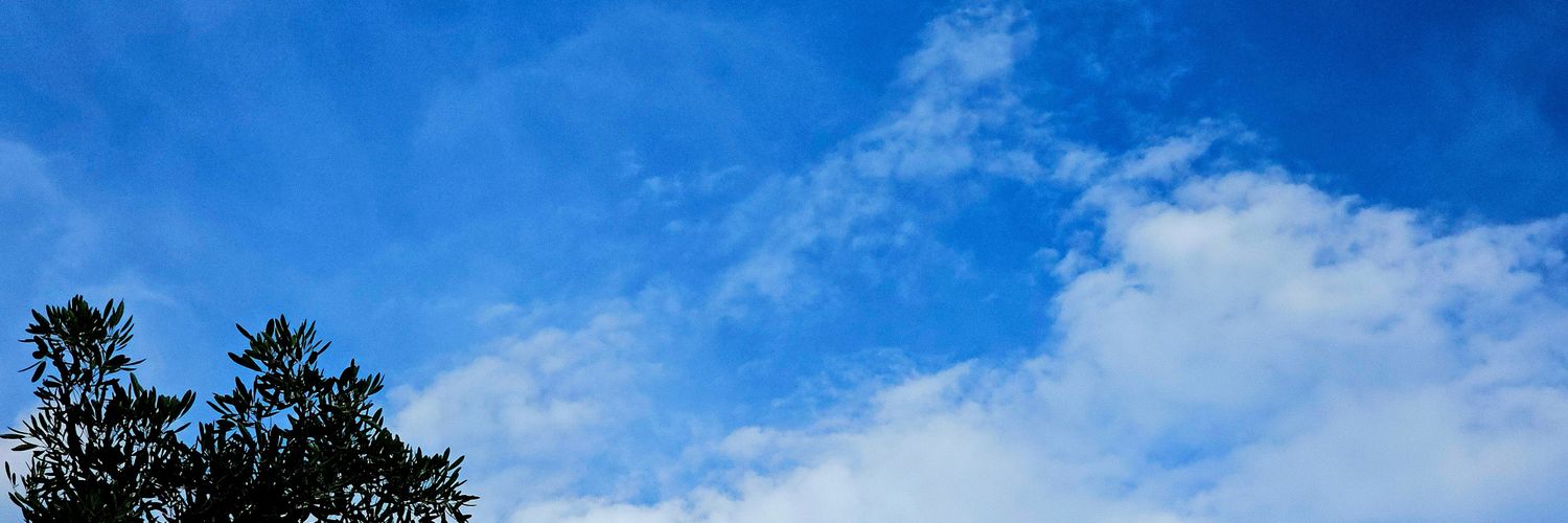 💚•IIAMSWSDNN•💛 banner