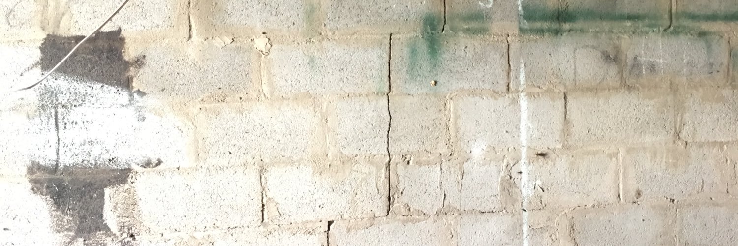 CaptianCatnip's profile banner image
