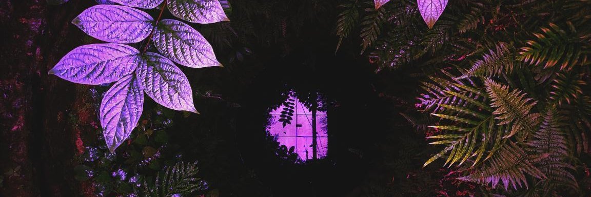 featherdye's profile banner image