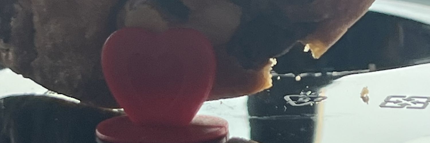 _Shahrivar's profile banner image