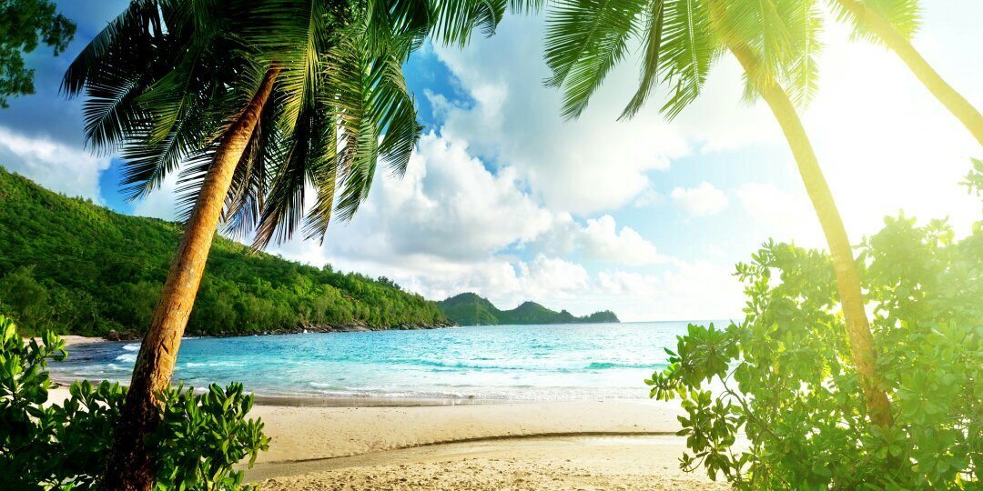 NateInParadise's profile banner image