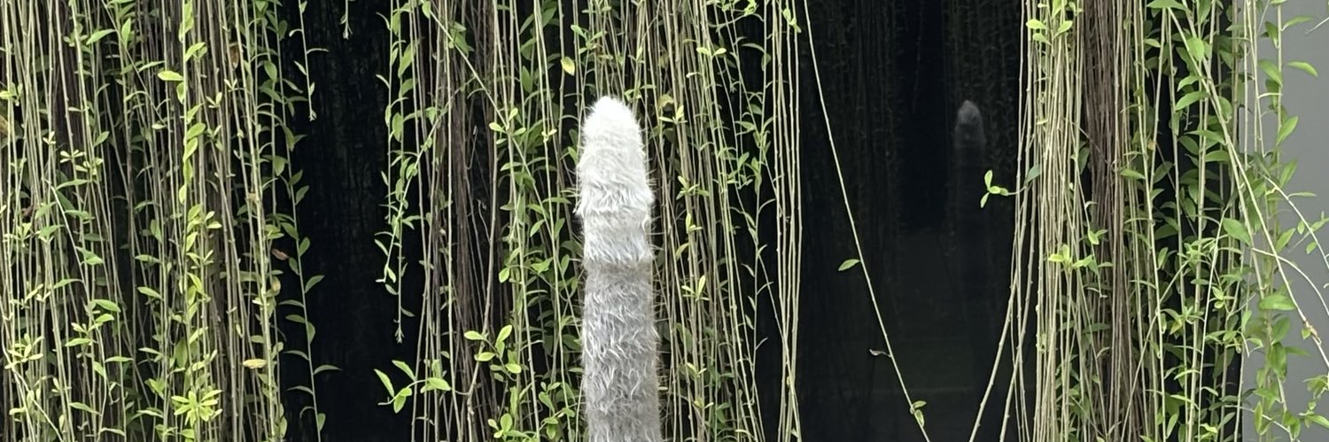 Baklava is Greek! banner