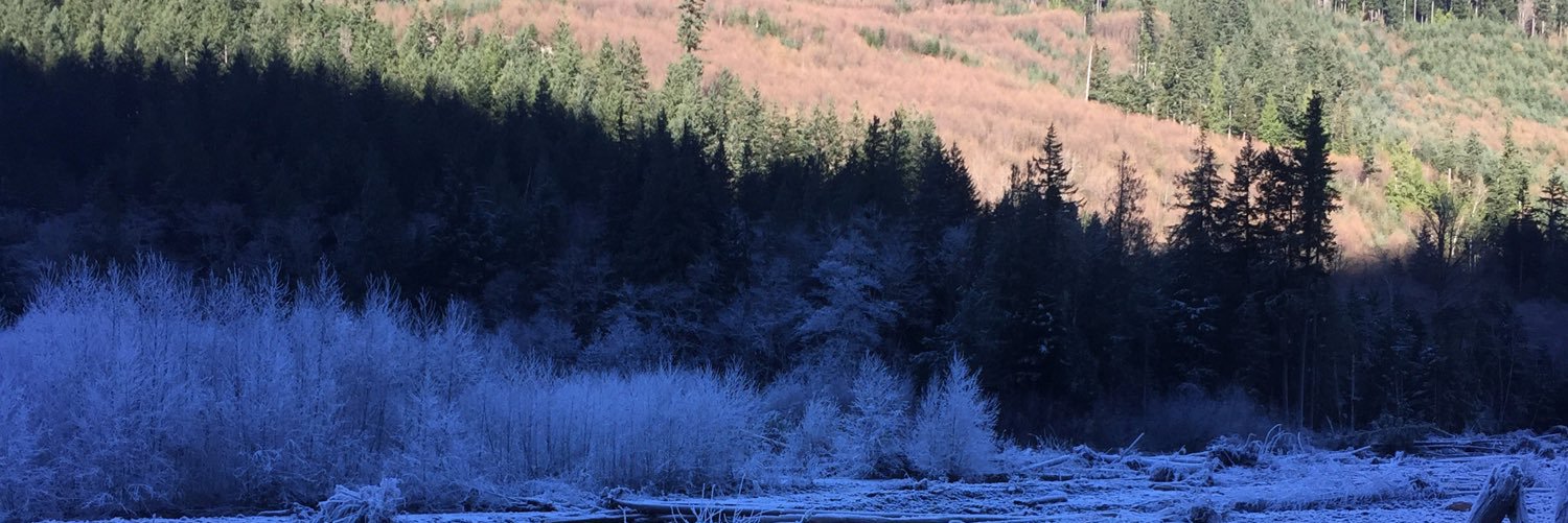 lindsaybreshon's profile banner image