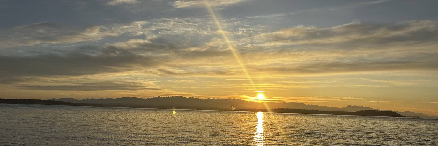 Sashemeee's profile banner image