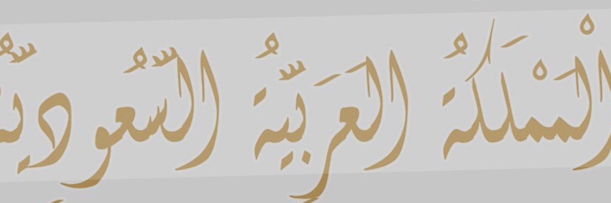zahraintwit's profile banner image
