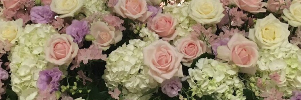 aoi_iy3's profile banner image