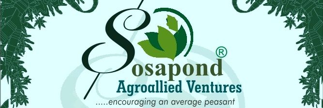 Sosapond's profile banner image