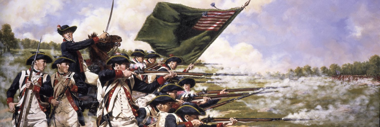 WellRegulatedMilitia banner