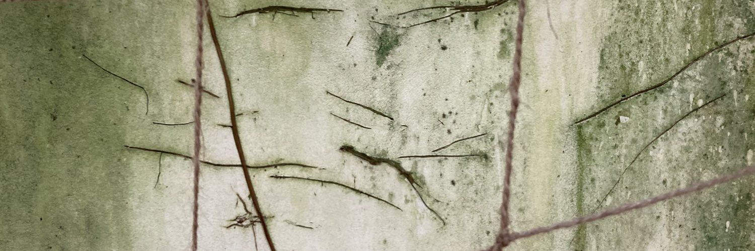 Jussi Jylkkä's banner