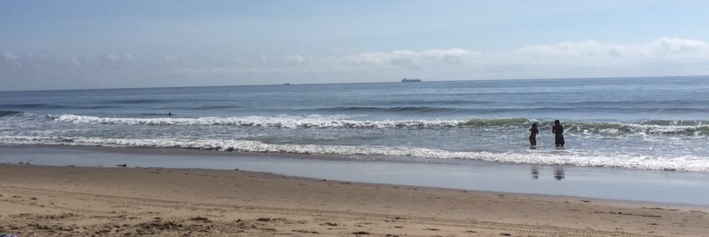 Vbls Beach report banner