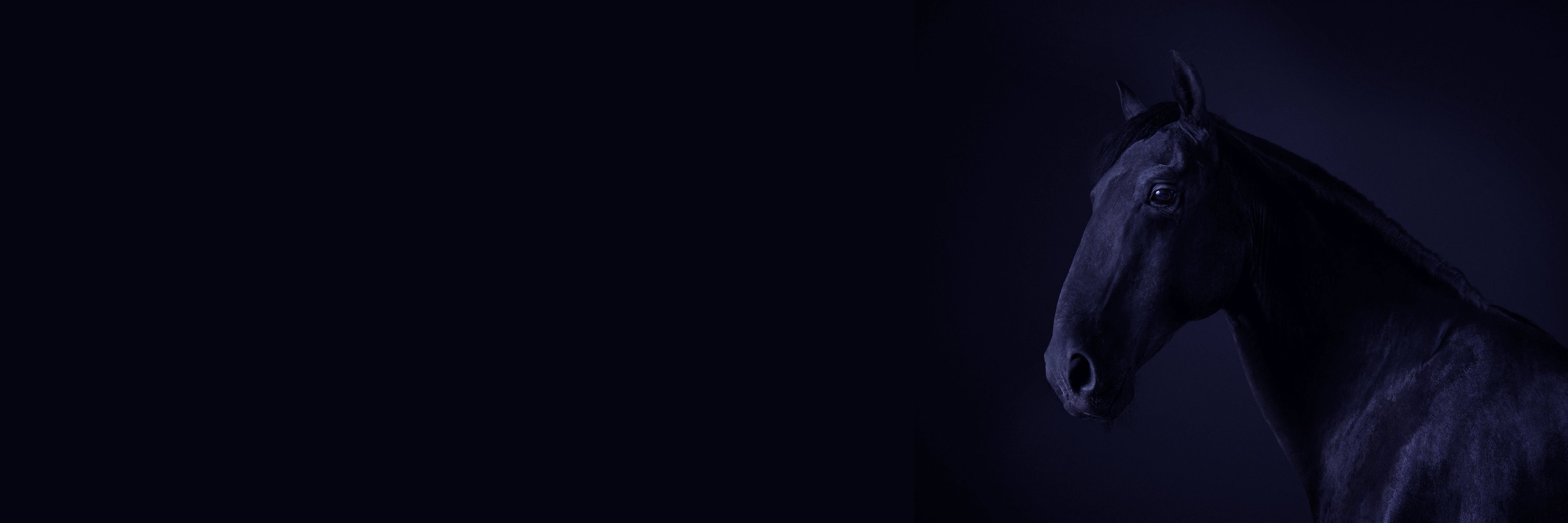 EcclesColts's profile banner image