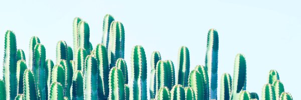 eva_schon Profile Banner