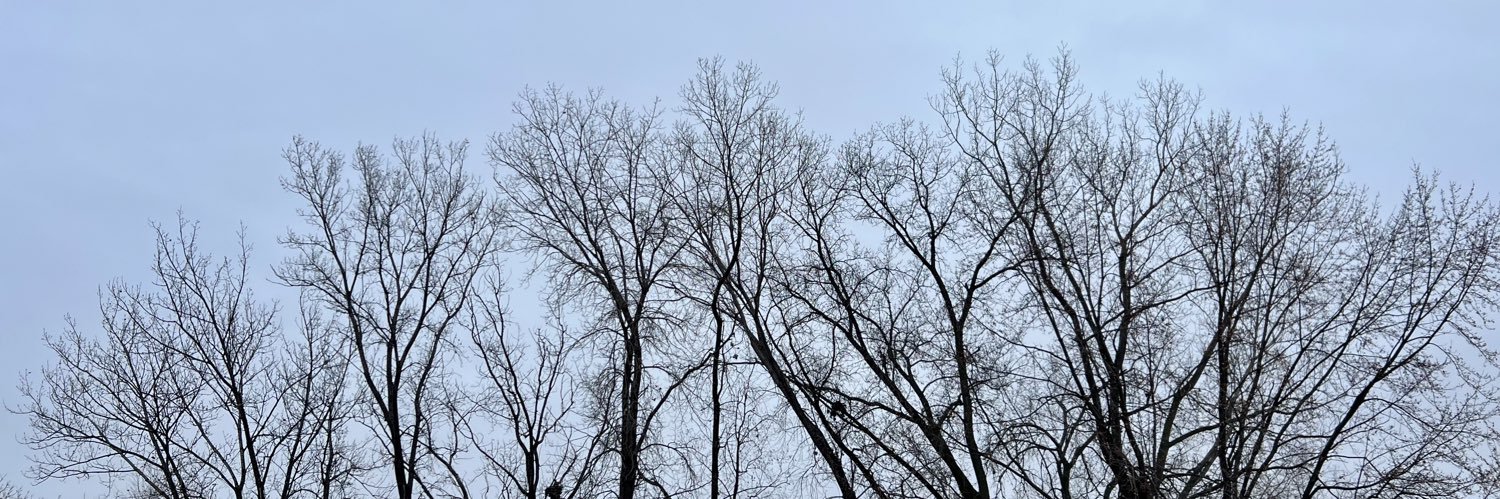 frogbertcatbert's profile banner image