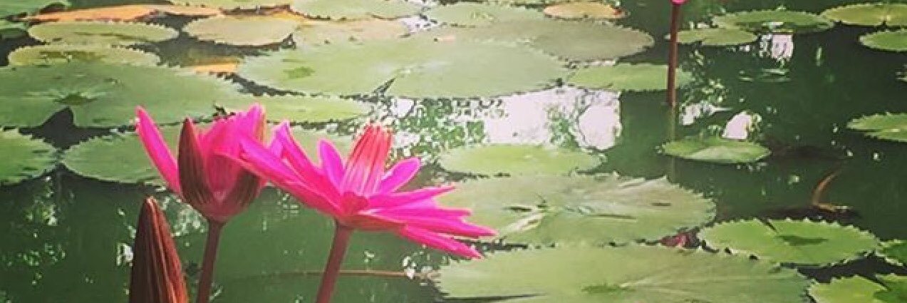 prettymeens's profile banner image