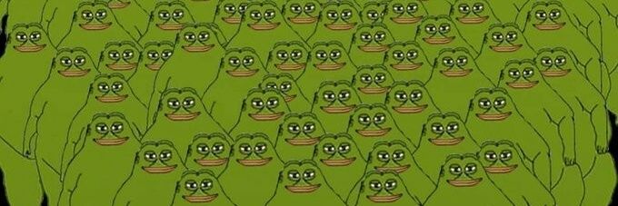 Van Life Groyper 🚐's banner