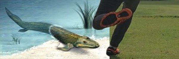 FranPun Profile Banner