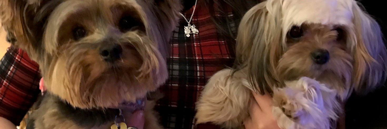 Linda S. Ingham banner