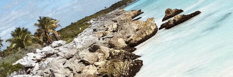 marialfg's profile banner image