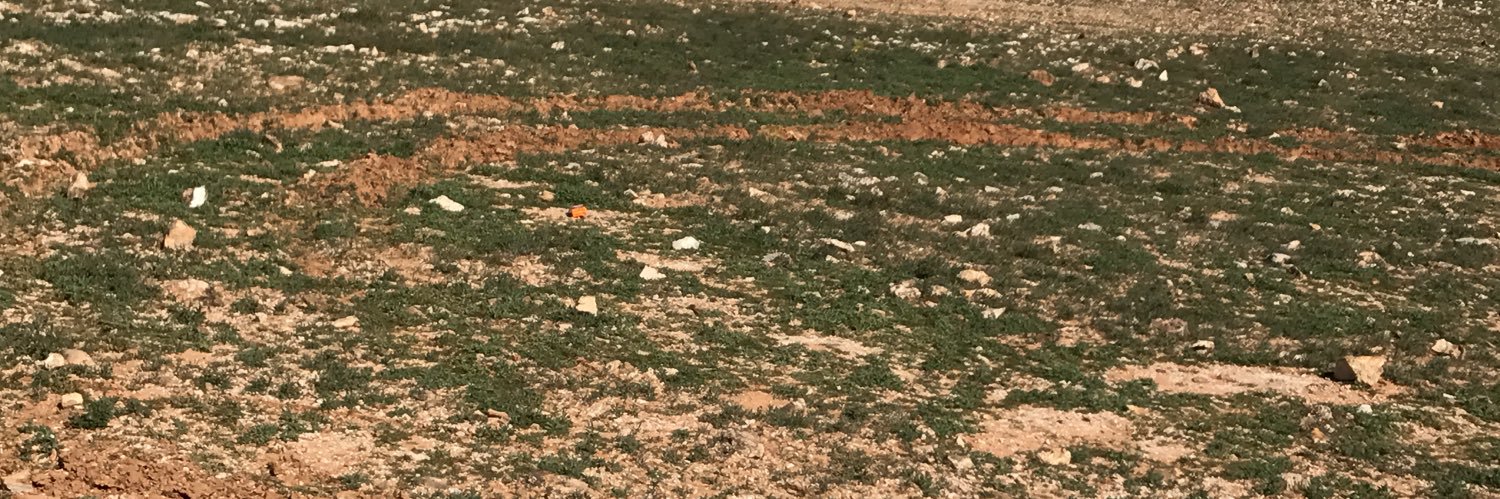 الهواااوي banner