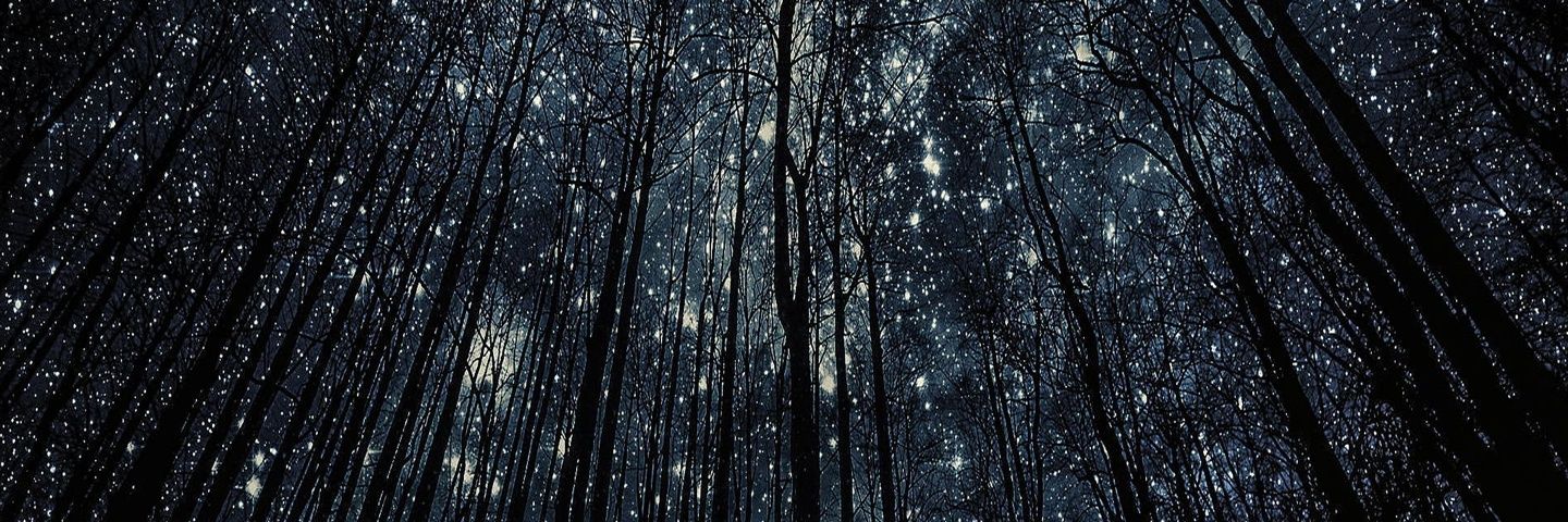 Angelo Gutierrez banner