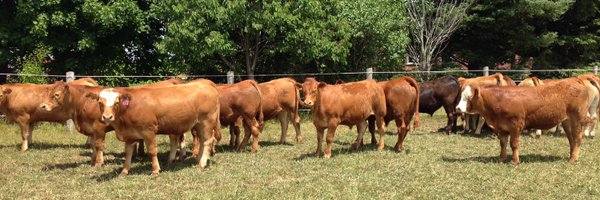 GeraldKMartin Profile Banner