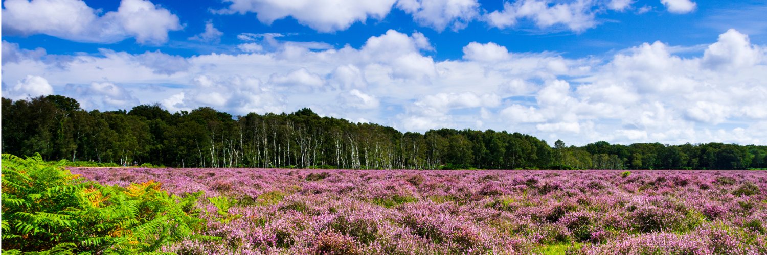 Natural England's banner