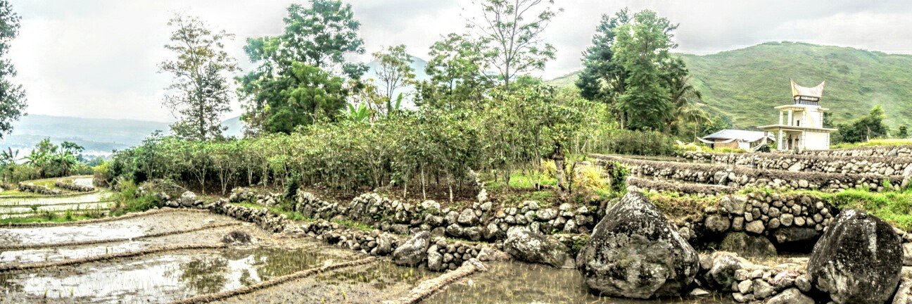 Rade Eva Panjaitan banner