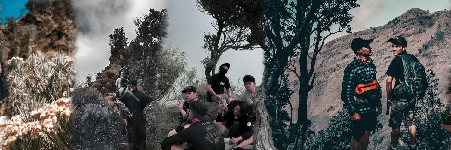 dzamar98's profile banner image