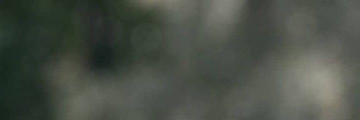 พึด(人 ·͈ᴗ·͈) banner