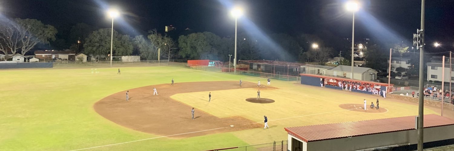 FWB Vikings ⚾️📈 banner